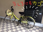 ③写真