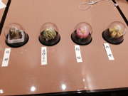 ②和菓子