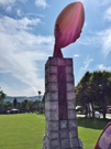 ②ラグビー