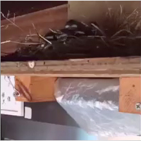 この回のダラリ動画は公開終了しました。