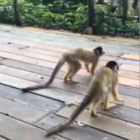 この回のダラリ動画は公開終了しました。