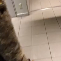 この回のダラリ動画は公開終了しました。