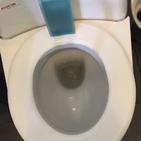 この回のダラリ動画は公開終了しました。