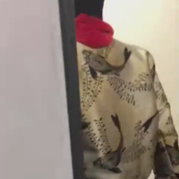 この回のダラリ動画は公開終了しました。