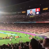 この回のダラリ動画は公開終了しました。